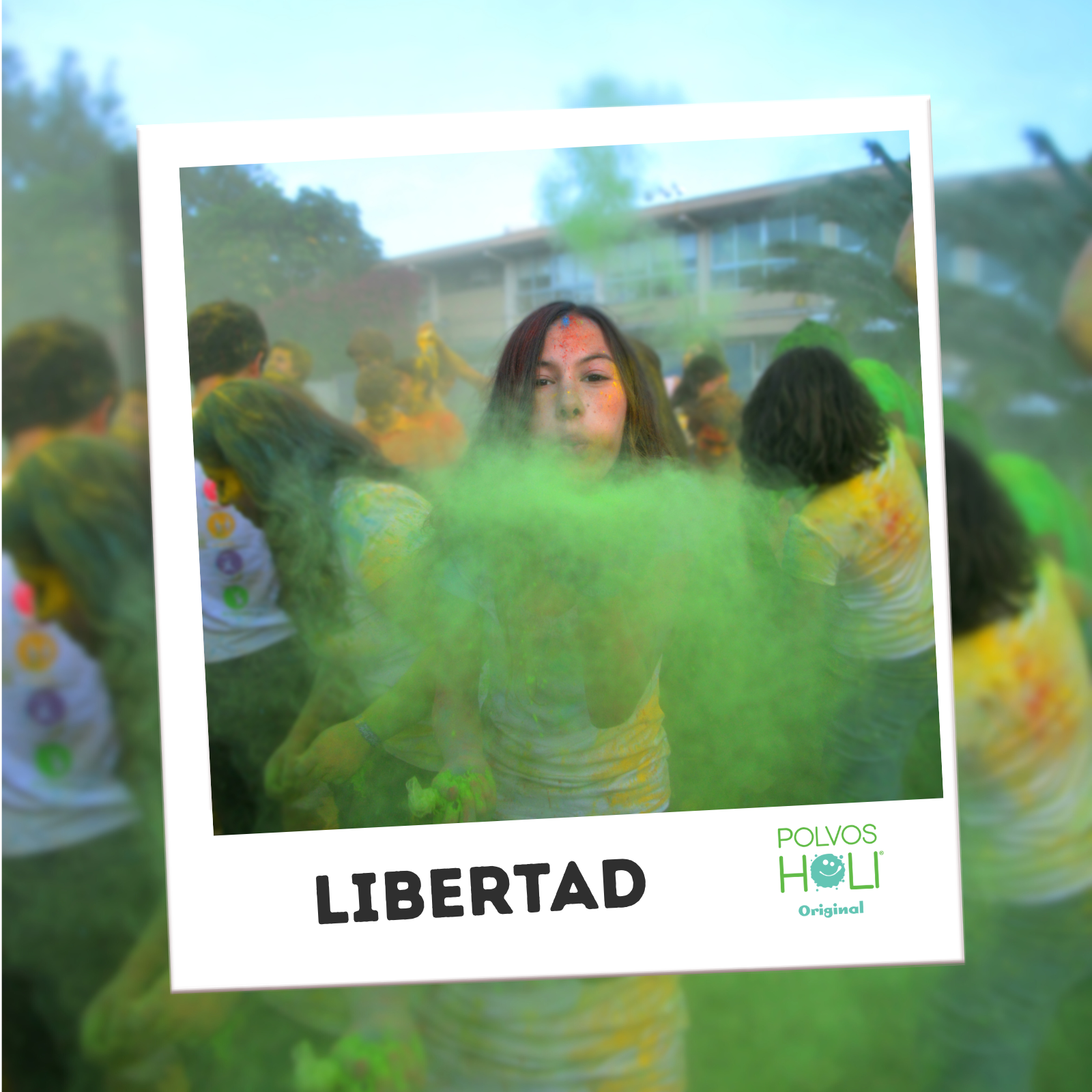 Cubo 25 kg Polvos Holi Original - Verde Brillante