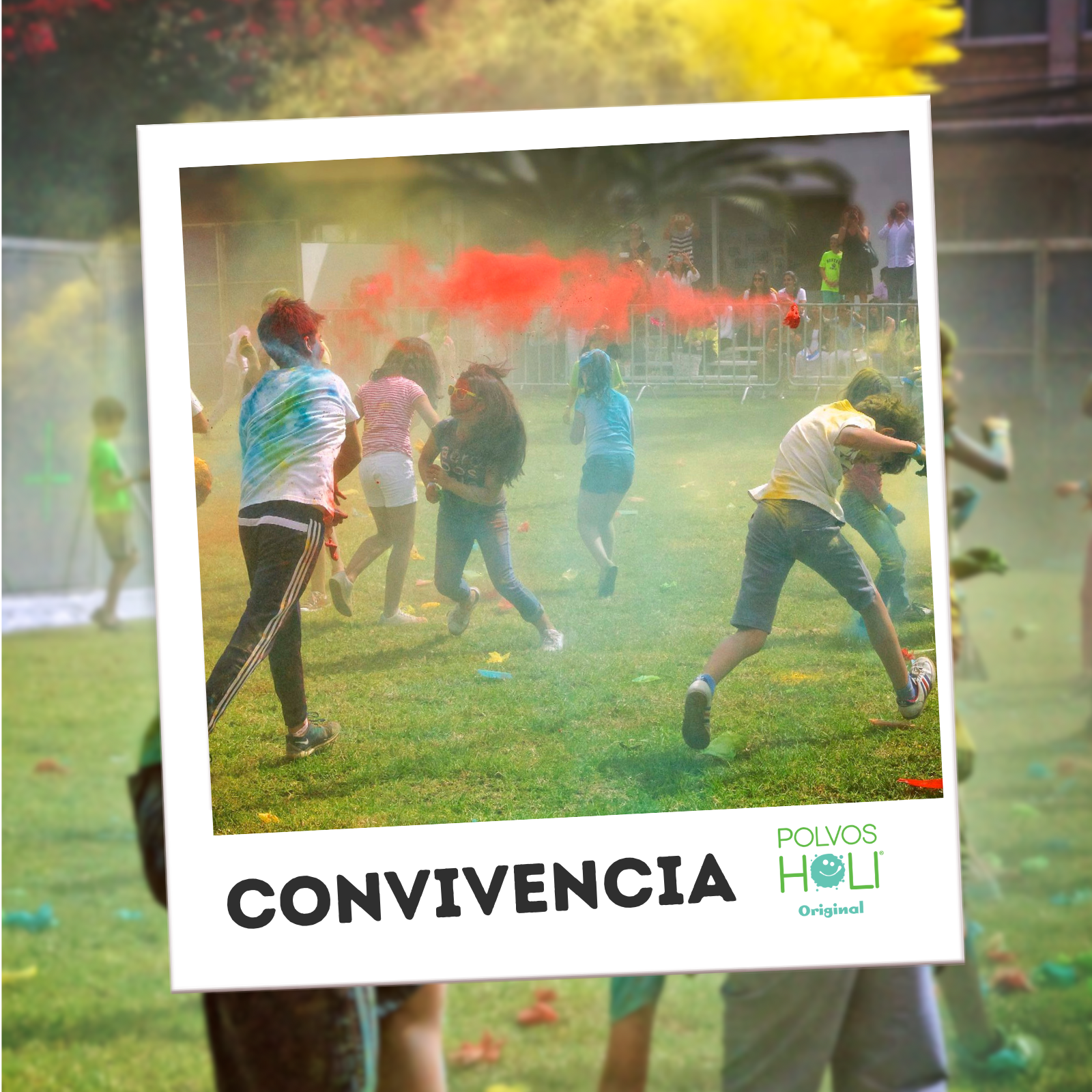 Cubeta de 5 kg Polvos Holi Original - Amarillo